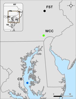 Distinct Distribution of Archaea From Soil to Freshwater to Estuary: Implications of Archaeal Composition and Function in Different Environments